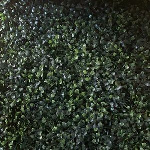 Set of 5 new boxwood panels.